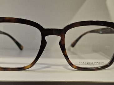 Occhiali F. Pinton FP Scene 04 "Outlet"